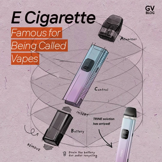E Cigarette Vaping | Guardian Vape Shop
