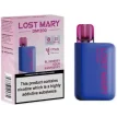 Lost Mary DM1200 Disposable Vape Kit Blueberry Sour Raspberry | Guardian Vape Shop