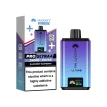 Hayati Pro Ultra Plus 25000 Pod Kit Blueberry Raspberry | Guardian Vape Shop
