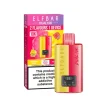 Elf Bar Dual 10K Disposable Kit Raspberry Edition | Guardian Vape Shop