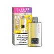 Elf Bar Dual 10K Disposable Kit Summer Edition | Guardian Vape Shop